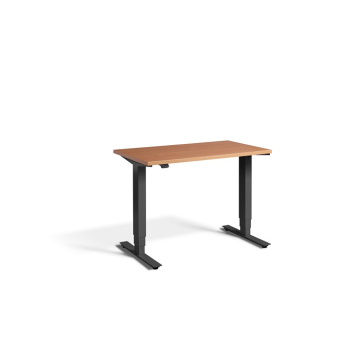Mini 1000w Dual Motor Desk