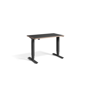 Mini 1000w Dual Motor Desk with Ply Edge