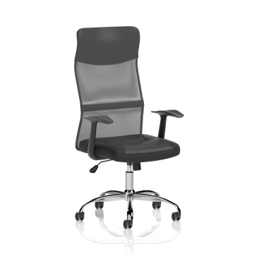 Office Home Office Vegalite Executive Mesh Chair With Arms EX000166