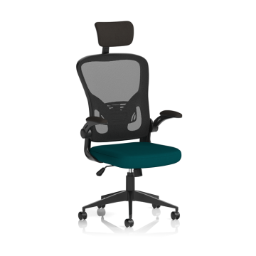 Ace Executive Black Mesh Chair With Folding Arms