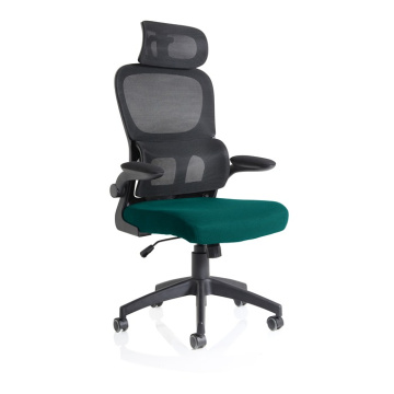 Iris Task Chair Mesh Back Fabric Seat With Headrest