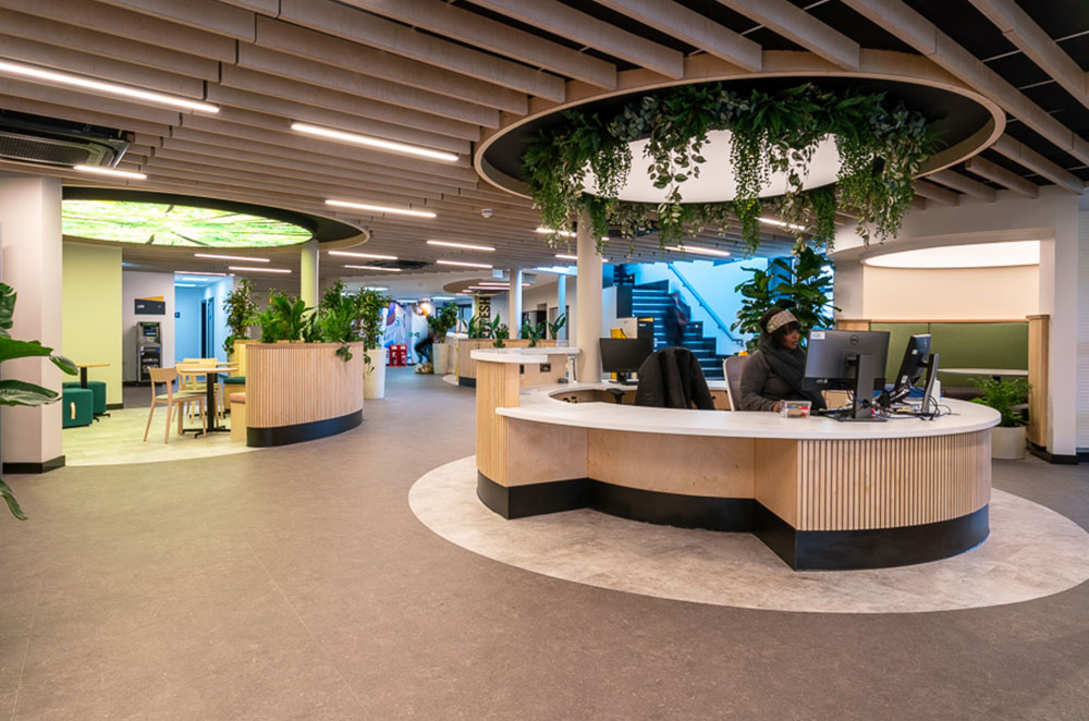 biophillic workspace